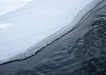 What is a Credit Freeze? A Comprehensive Guide to Protecting Your Financial Identity