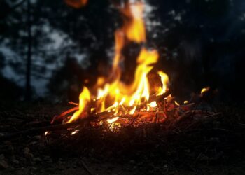 What is a FIRE Lifestyle? A Comprehensive Guide to Financial Independence and Early Retirement