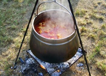 What is a FIRE Spreadsheet? A Comprehensive Guide to Financial Independence and Early Retirement