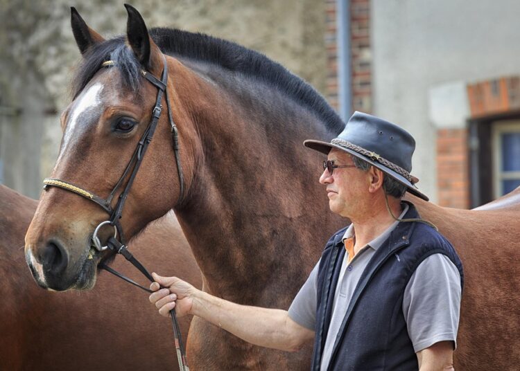 What is a Fair Credit Score? Understanding the Basics and Your Financial Health