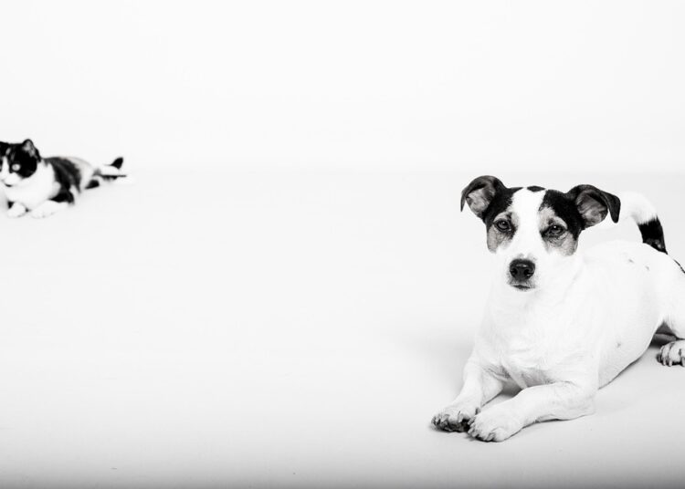 What is a Home Appraisal? A Complete Guide for First-Time Buyers