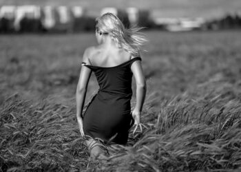 What is a Net Worth Statement? A Comprehensive Guide to Understanding Your Financial Picture