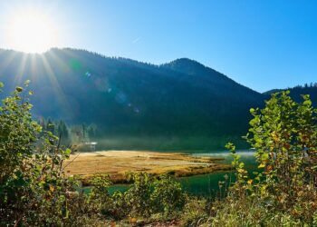 What is a REIT ETF? A Beginner’s Guide to Real Estate Investment Trusts in the Stock Market