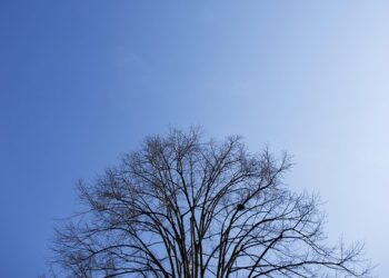 What is a Reverse Mortgage? A Comprehensive Guide to Empowering Your Financial Future