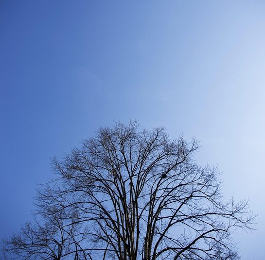 What is a Reverse Mortgage? A Comprehensive Guide to Empowering Your Financial Future