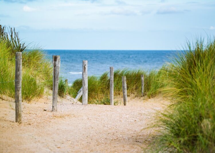 What is a Thin Credit File? How It Affects Your Financial Future and What You Can Do About It