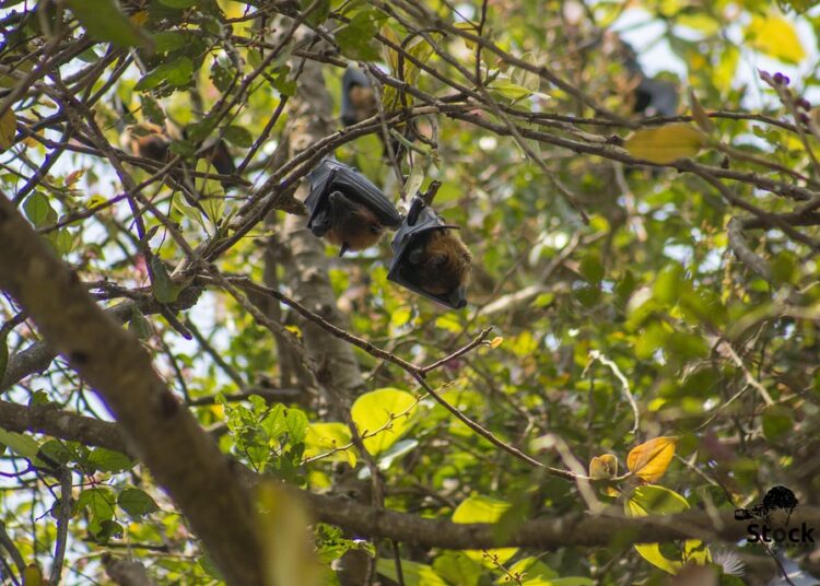 What is the Difference Between APR and APY? A Comprehensive Guide for Savvy Savers