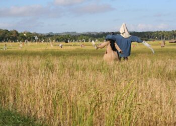 Who is John Bogle? The Revolutionary Investor Who Changed the Face of Finance