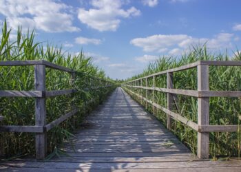 10 Bad Financial Goals You Should Avoid for a Secure Future