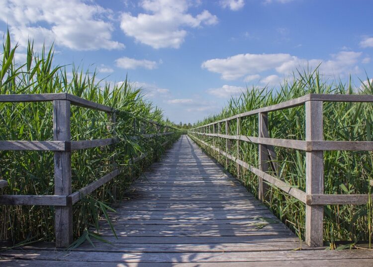 10 Bad Financial Goals You Should Avoid for a Secure Future