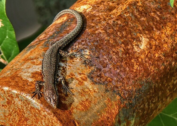 10 Common Frugal Living Mistakes and How to Avoid Them for Maximum Savings