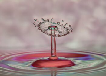 10 Common Reasons Why Your Credit Score Dropped and How to Fix It