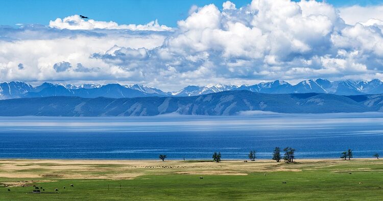 10 Effective Ways to Protect Your Bank Account from Scammers Today