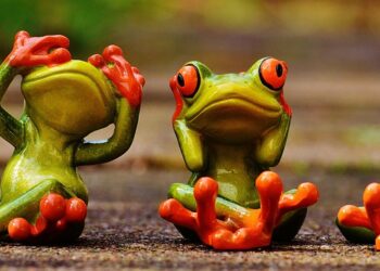 10 Essential Tips on How to Be Frugal and Not Cheap: Save Money While Enjoying Life