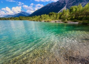 10 Financial Independence Basics You Need to Know for a Wealthier Future