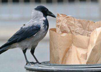 10 Practical Tips for Reducing Food Waste You Can Start Today