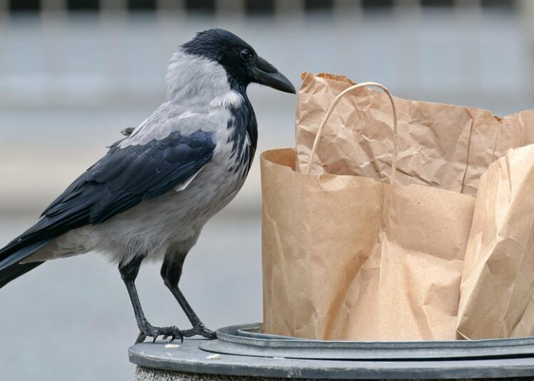 10 Practical Tips for Reducing Food Waste You Can Start Today