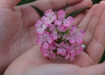 10 Proven Strategies to Stay Motivated on Your Frugal Journey