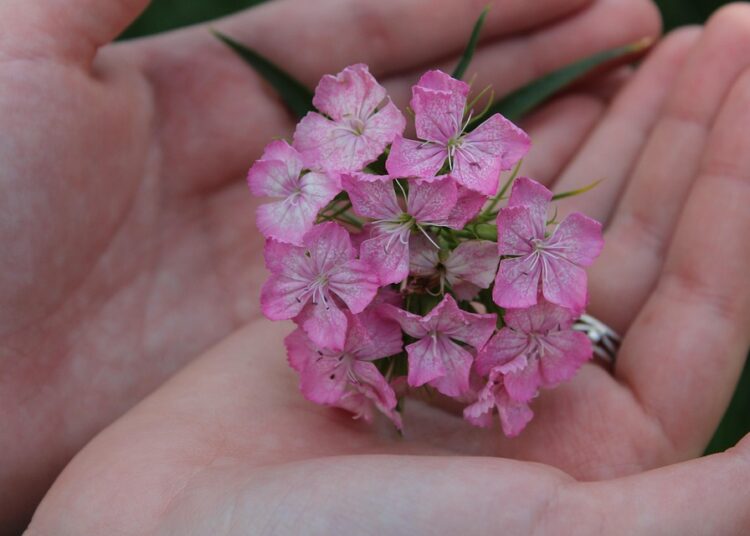 10 Proven Strategies to Stay Motivated on Your Frugal Journey 10 Proven Strategies to Stay Motivated on Your Frugal Journey