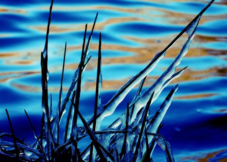 10 Proven Strategies to Track Your Progress on the Path to Millionaire Status