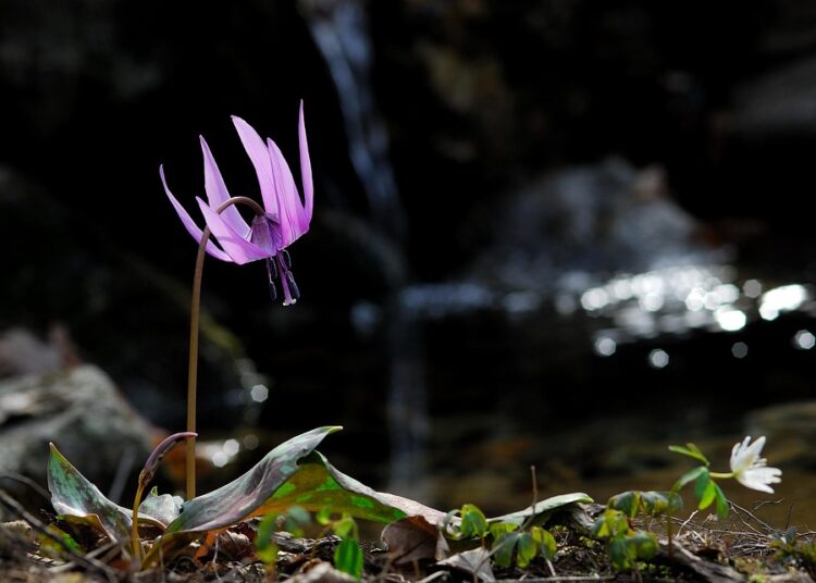 10 Reasons Why Understanding How Robo-Advisors Work Can Revolutionize Your Portfolio