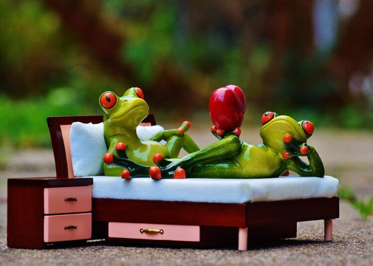 30 Days to a Higher Credit Score: Essential Steps to Transform Your Finances