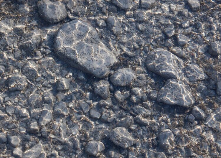 Affiliate Marketing Basics: A Beginner’s Guide to Earning Passive Income Affiliate Marketing Basics: A Beginner’s Guide to Earning Passive Income