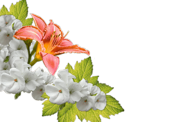 DeFi Explained for Beginners: How to Get Started with Decentralized Finance for Smarter Money Management