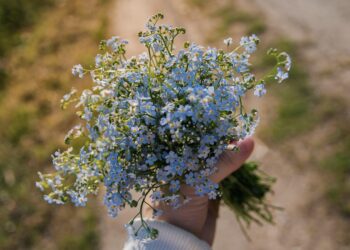 Find Your Perfect Match: What Is the Best Robo-Advisor for Me? Take Our Quiz!