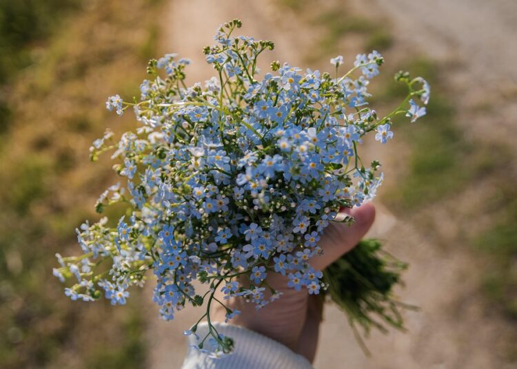 Find Your Perfect Match: What Is the Best Robo-Advisor for Me? Take Our Quiz!