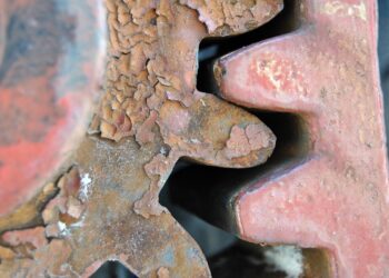 How NCUA Insurance Protects Your Savings: A Comprehensive Guide for Credit Union Members