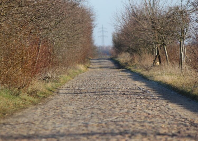 How Often Does My Credit Score Update? A Comprehensive Guide for 2023