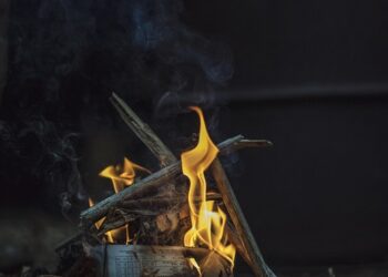 How to Achieve FIRE on a Low Income: Your Step-by-Step Guide to Financial Independence