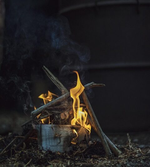 How to Achieve FIRE on a Low Income: Your Step-by-Step Guide to Financial Independence