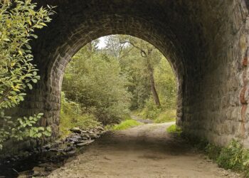 How to Build Multiple Income Streams: A Beginner’s Guide to Financial Freedom