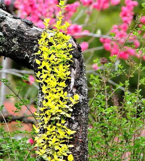 How to Build Wealth After Becoming Debt-Free: A Step-by-Step Guide for Financial Freedom How to Build Wealth After Becoming Debt-Free: A Step-by-Step Guide for Financial Freedom