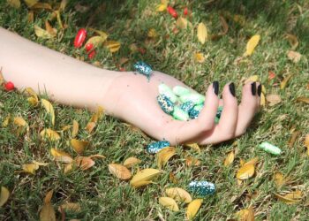 How to Build an Emergency Fund: Your Step-by-Step Guide to Financial Security