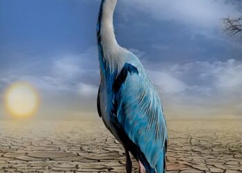 How to Change Your Money Habits: 7 Practical Steps to Stay Out of Debt