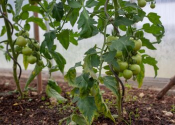 How to Choose the Top ETFs to Own in 2023: A Beginner’s Guide