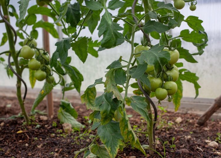 How to Choose the Top ETFs to Own in 2023: A Beginner’s Guide How to Choose the Top ETFs to Own in 2023: A Beginner’s Guide