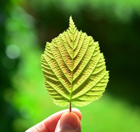 How to Create a Simple Budgeting Spreadsheet in Google Sheets: A Step-by-Step Guide for Beginners