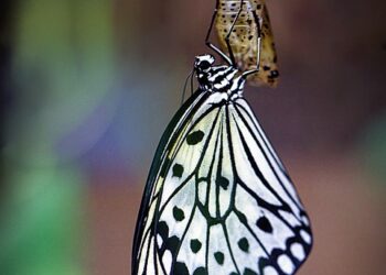 How to Define and Achieve Your Life Cycle Financial Goals at Every Stage of Life