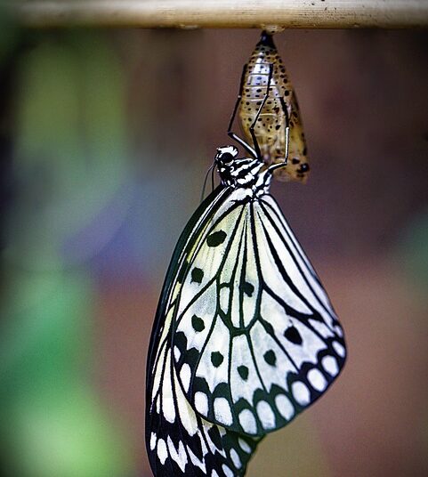 How to Define and Achieve Your Life Cycle Financial Goals at Every Stage of Life