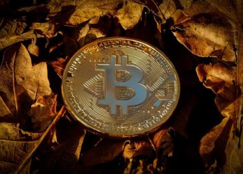 How to Determine if Crypto Trading Bots Are Profitable for Your Investment Strategy