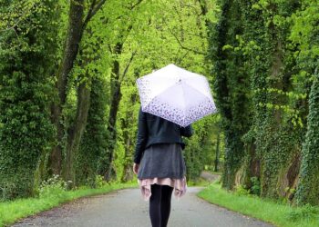 How to Find a FIRE-Minded Community: 7 Proven Steps to Connect with Like-Minded Individuals