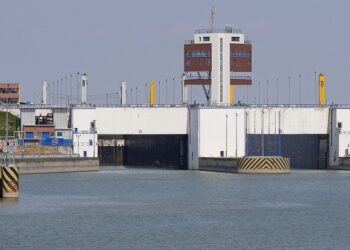 How to Get Free Cryptocurrency: A Step-by-Step Guide for Beginners