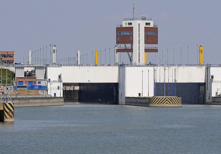 How to Get Free Cryptocurrency: A Step-by-Step Guide for Beginners How to Get Free Cryptocurrency: A Step-by-Step Guide for Beginners