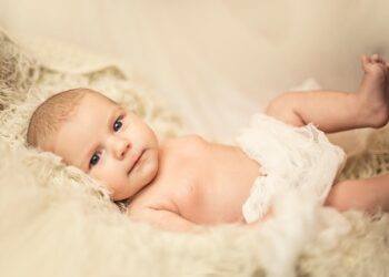 How to Get a Small Business Loan: A Step-by-Step Guide for New Entrepreneurs