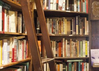 How to Ladder CDs vs. Using a HYSA: Which Savings Strategy Reigns Supreme?