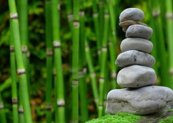 How to Master Your Finances: Understanding the Balanced Money Formula